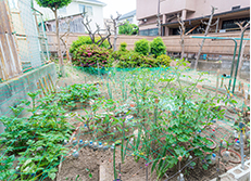 施設の様子