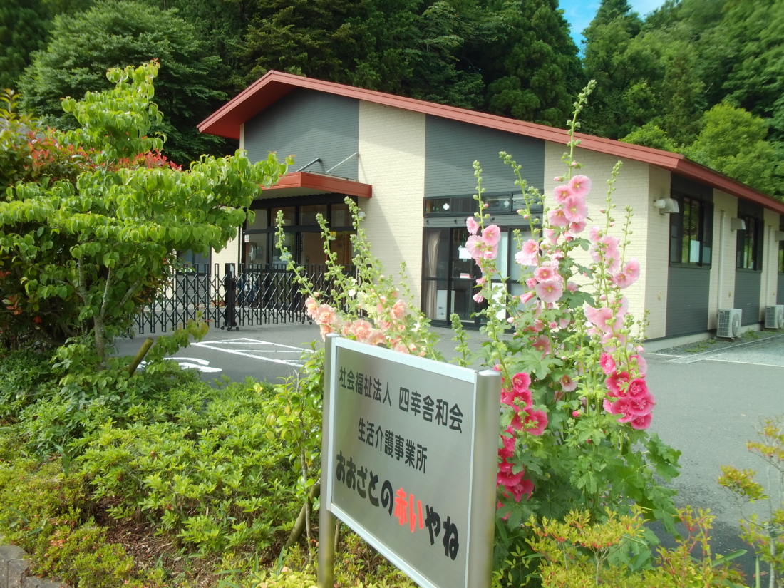 初めての新聞づくり📰
