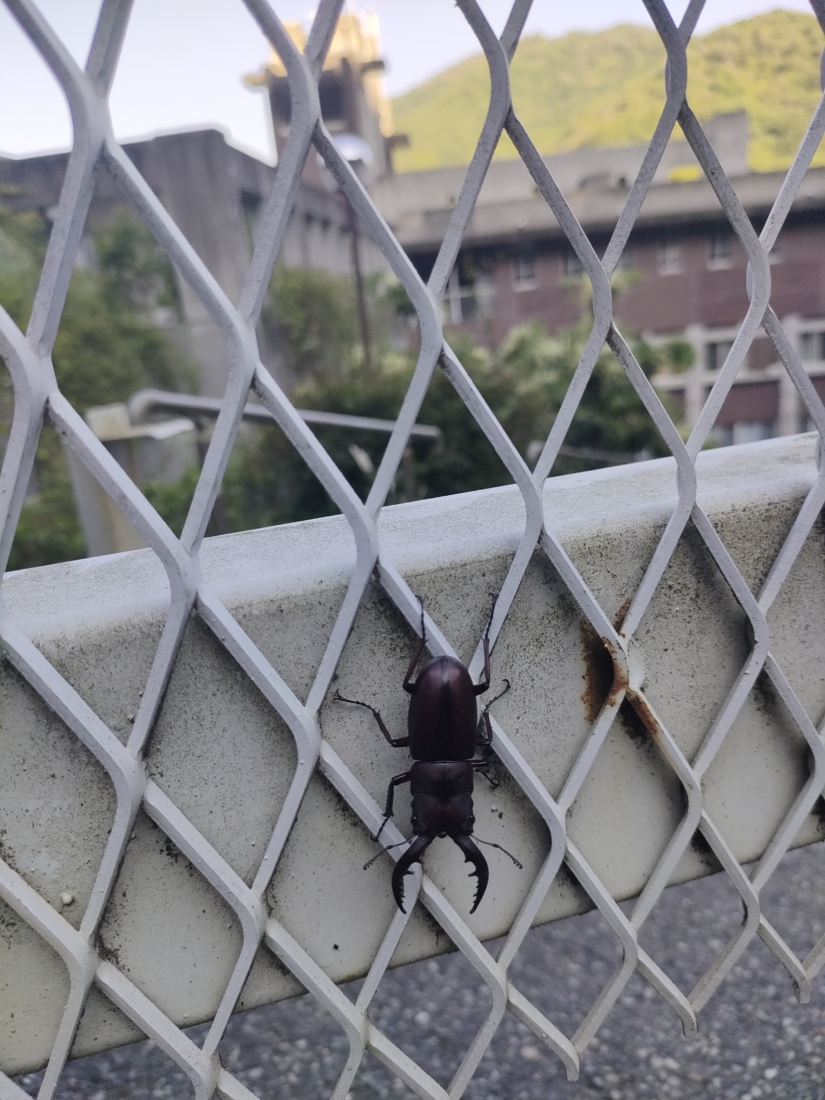 お休みの時はリフレッシュ！