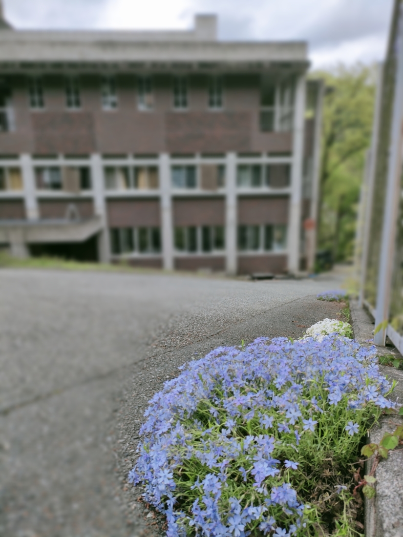 「モジャモジャ！」「ワサワサ！」※虫の画像が含まれています。